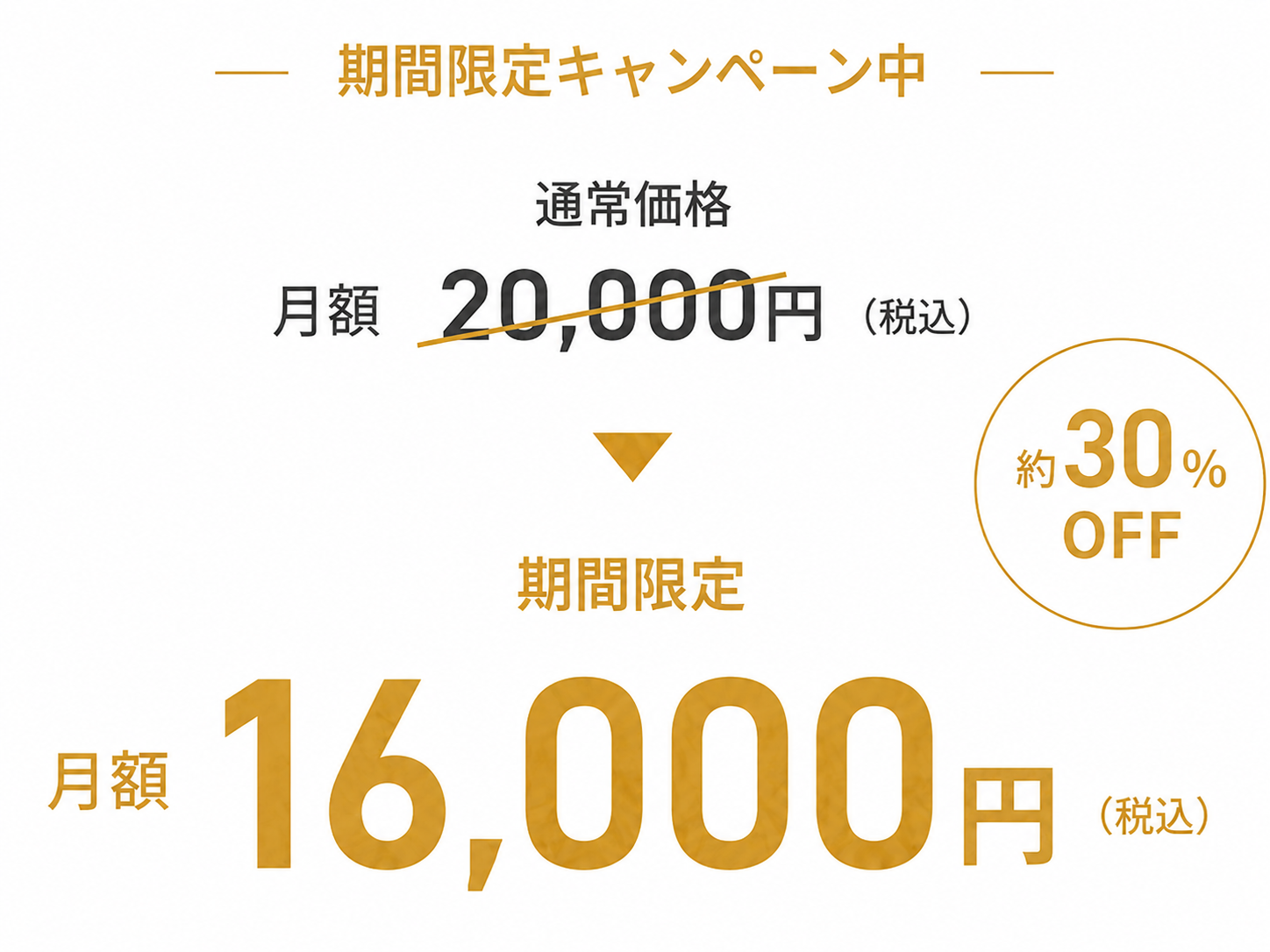 プレミアムサポートプランのキャンペーン価格。通常価格は月額20,000円税込、期間限定で月額16,000円税込、約30%OFF。