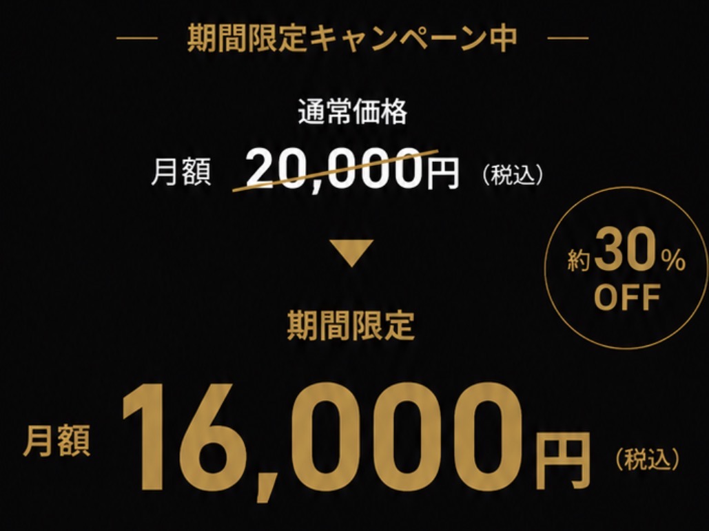 プレミアムサポートプランのキャンペーン価格。通常価格は月額20,000円税込、期間限定で月額16,000円税込、約30%OFF。
